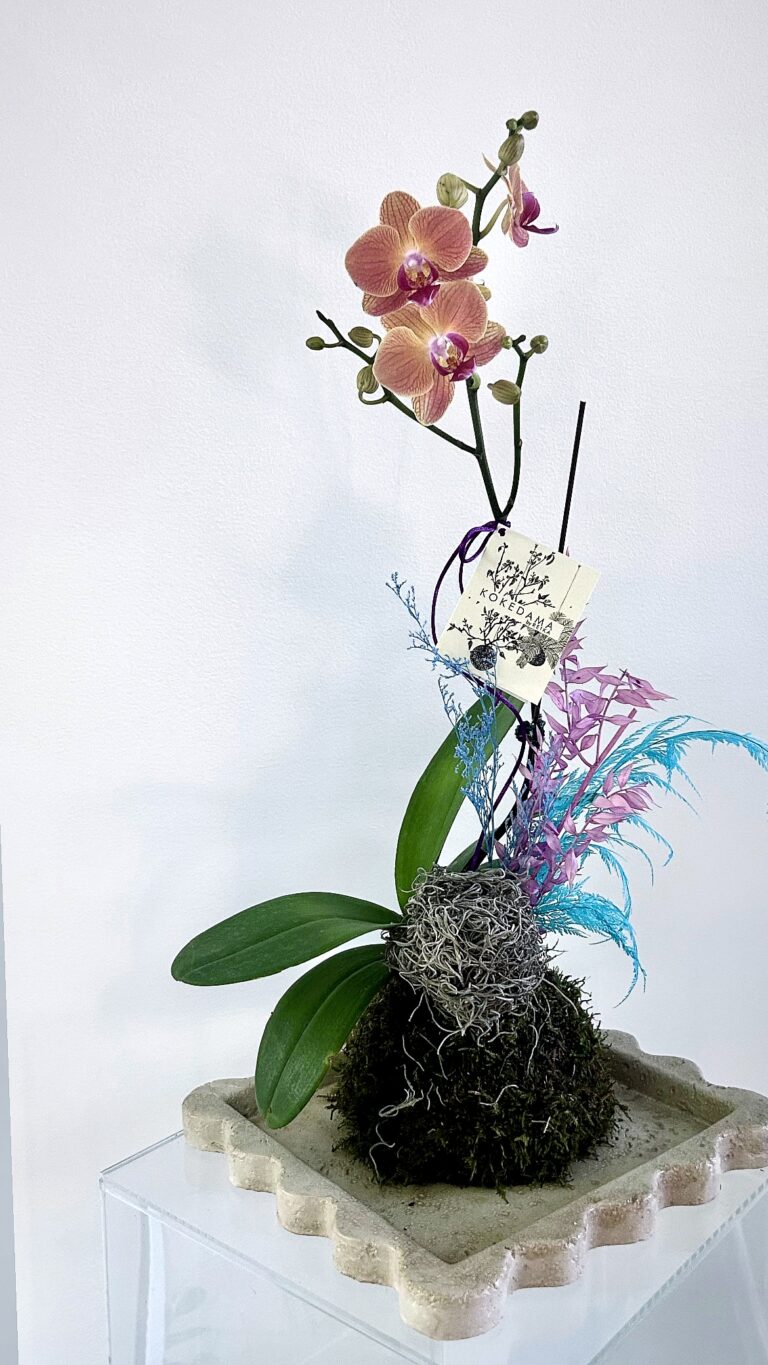 88479B00-1ADB-4CF6-BC84-BAF21896F705 2